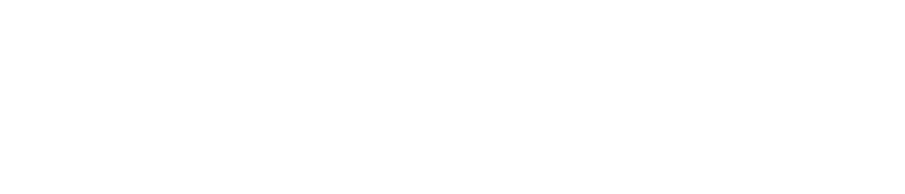 logo AAVVA (1)