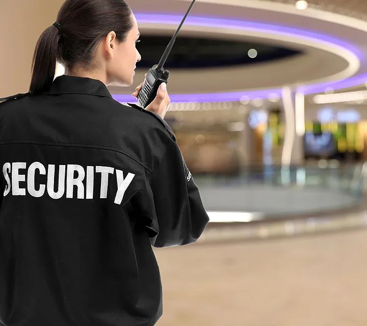 event Security services in dubai